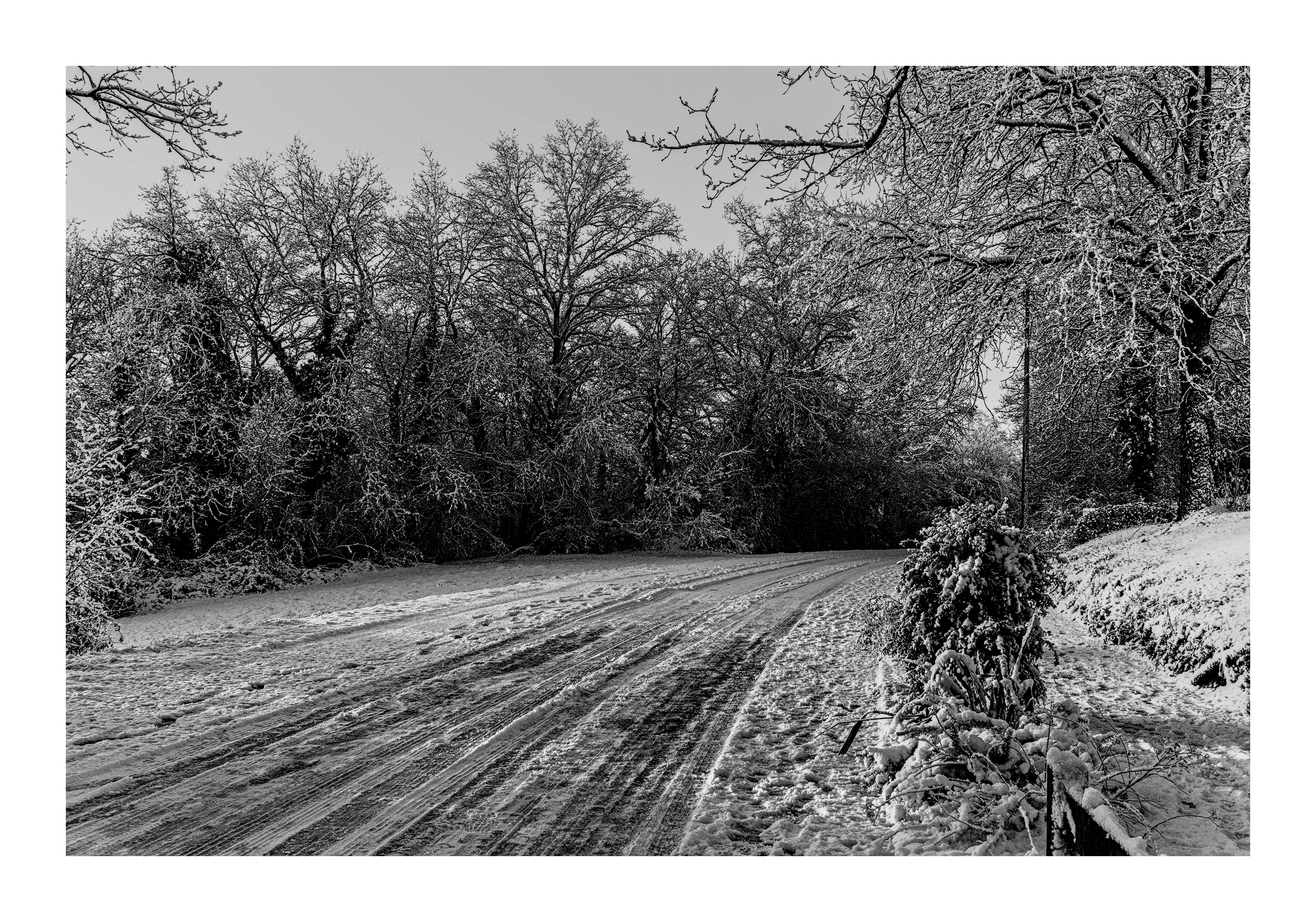 Le Chemin du Silence
